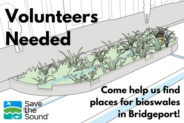 Bridgeport Bioswales call for volunteers