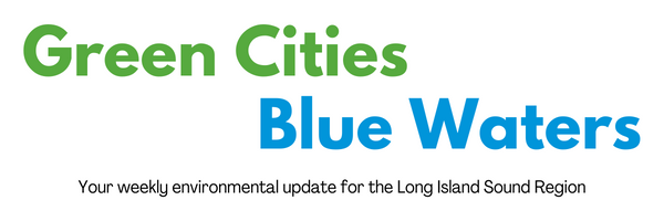 Green Cities Blue Waters